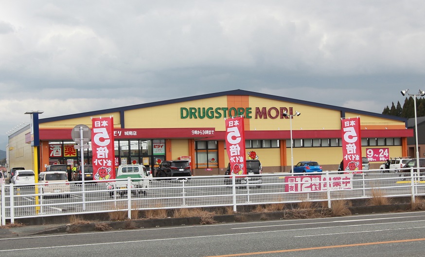 ドラッグモリ城南店